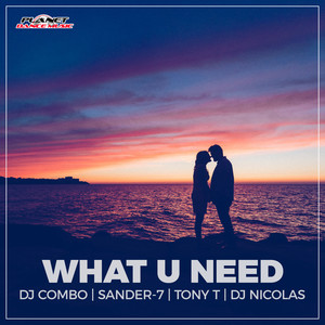 What U Need (Extended Mix)