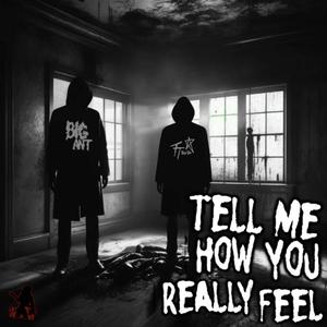 Tell Me How You Really Feel (feat. Big Ant)