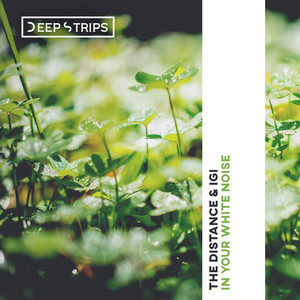 In Your White Noise (Original Mix)
