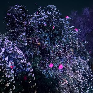 Addicted to Numbing My Existence