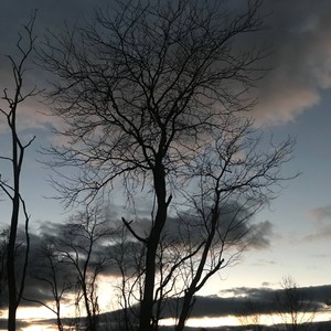 Boba (feat. ZEEF & Kota) (Explicit)