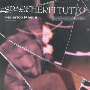 Spaccherei tutto