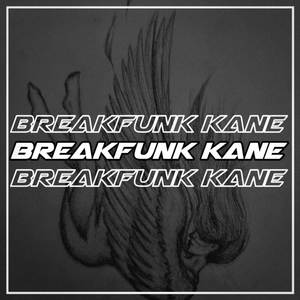 BREAKFUNK KANE