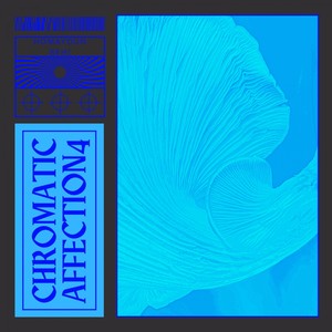 Chromatic Affection 4 (Original Mix)