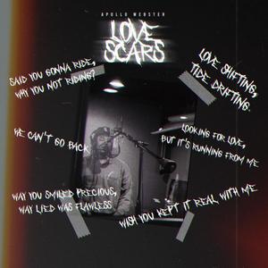 Love Scars