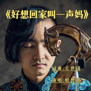 好想回家叫一声妈