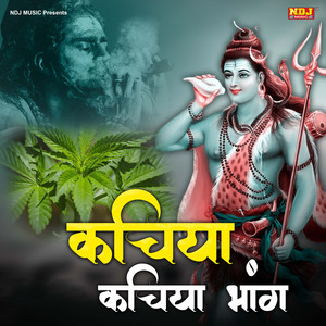 Kachiya Kachiya Bhang