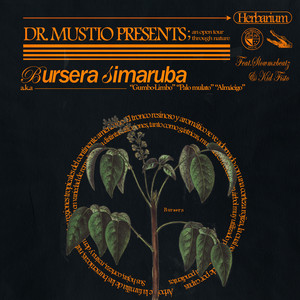 Bursera Simaruba // Gumbo-Limbo (Explicit)