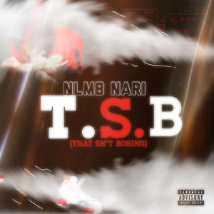 T.SB (That **** Boring) (Explicit)