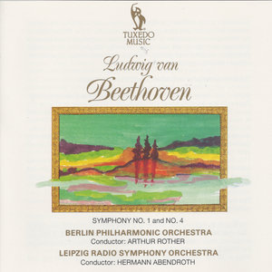 Symphony No. 4 in B-Flat Major, Op. 60: I. Adagio. Allegro vivace