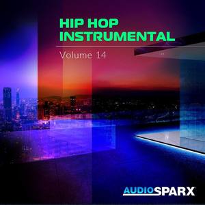 Hip Hop Instrumental Volume 14