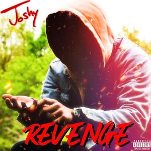 Joshy - CAN'T BE SAVED (Explicit)