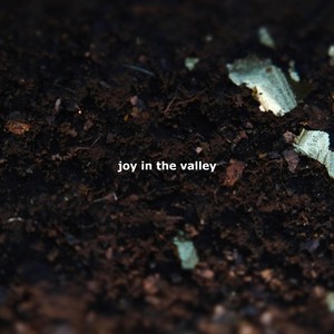 Joy in the Valley