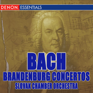 Concerto No. 1 in F Major, BWV1046 - I. Allegro