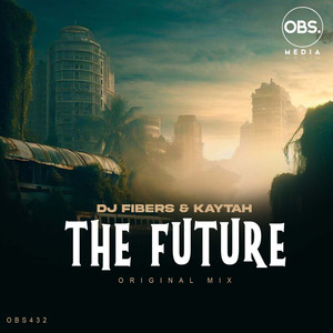 The Future (Original Mix)