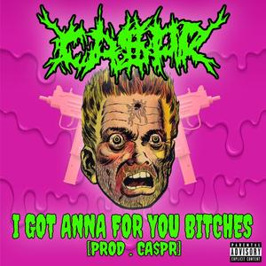 I Got Anna For You *****es (Explicit)