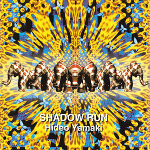 SHADOW RUN