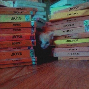 мимо твоих дворов (Explicit)