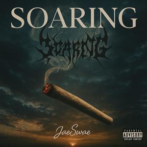 Soaring (Explicit)