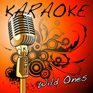 Wild Ones (Flo Rida feat. Sia Tribute) - Karaoke