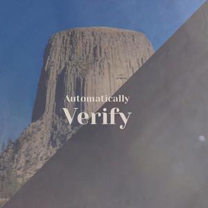 Automatically Verify