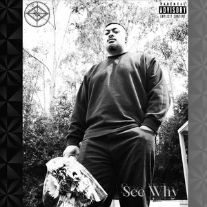 See Why (Explicit)