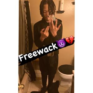 Paint Pt. 2 (FreeWack) (feat. sdgwack) (Explicit)