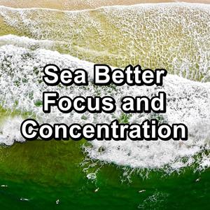 Wave Sounds Ocean Lullaby Loopable for 8 Hours