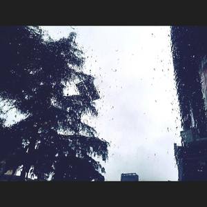 绝对占有相对自由