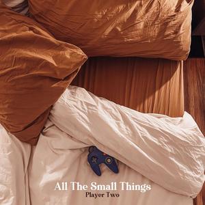 All The Small Things