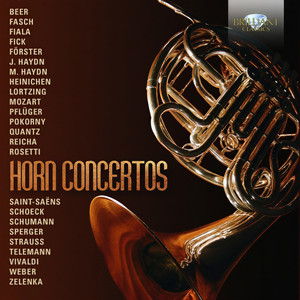 Horn Concerto in E-Flat Major, M.C49 - III. Rondo. Allegretto ma non tanto