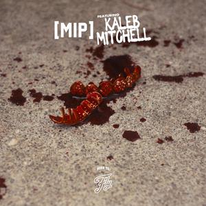 M.I.P. (feat. Kaleb Mitchell) (Remix)