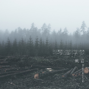 当列车开往北方