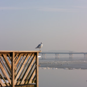 Death! Instant! Gone! Embraced?