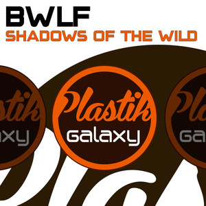 Shadows of the Wild (Original Mix)