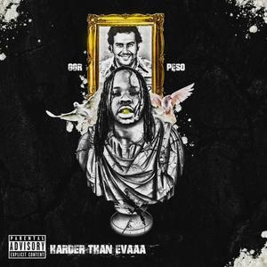 HARDER THAN EVAAA (Explicit)