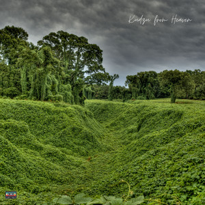 Kudzu from Heaven