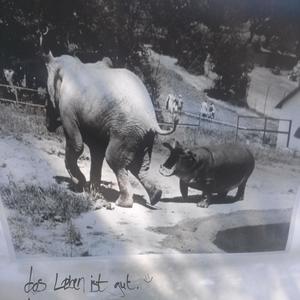 das leben ist gut zu dritt (reymaunz Remix|Explicit)