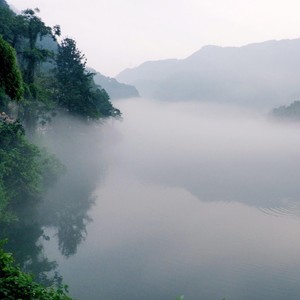 为你把寂寞守成海