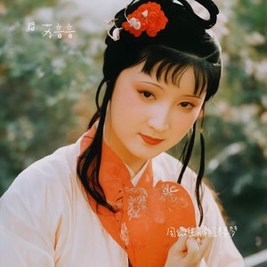 周公难解红楼梦