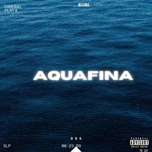 Aquafina (Explicit)