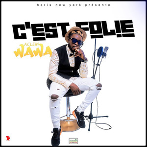 C'est folie (Explicit)