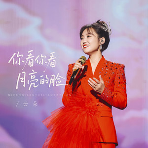 你看你看月亮的脸