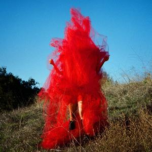 Something in the Water