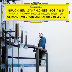 Symphony No. 1 in C Minor, WAB 101 (Vienna Version - 1890/91) - IV. Finale (Bewegt und feurig, C Minor)