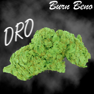 dro (radio edit)