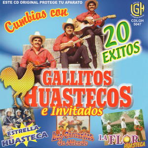 Gallitos Huastecos E Invitados