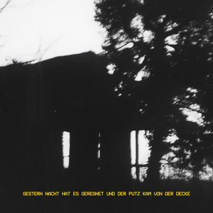 Gestern Nacht hat es geregnet und der Putz kam von der Decke