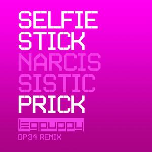 Selfie Stick (Narcissistic Prick) (DP34 Remix)