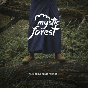 Mystique Forest